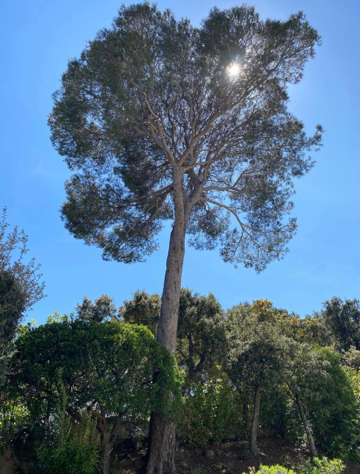 Belle Villa Dans Clos Prive - Saint Raphael Boulouris Buitenkant foto